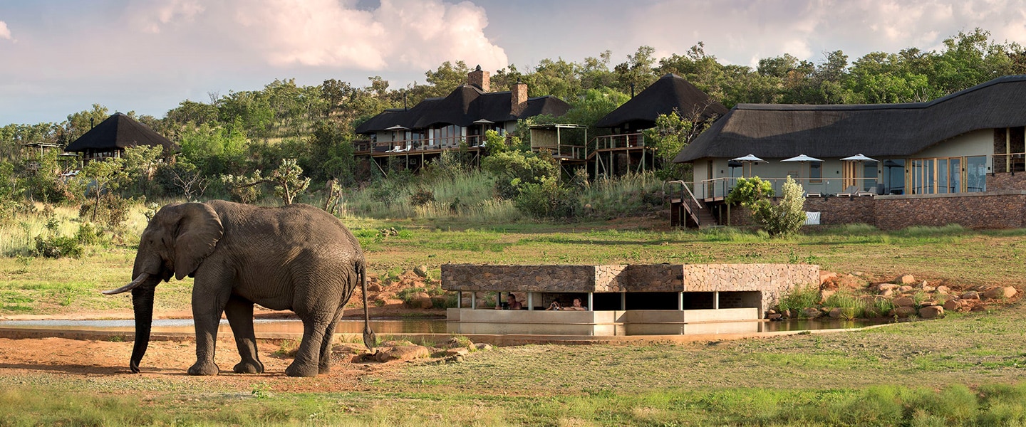 Mhondoro Safari Lodge & Villa in Limpopo’s Welgevonden Game Reserve 