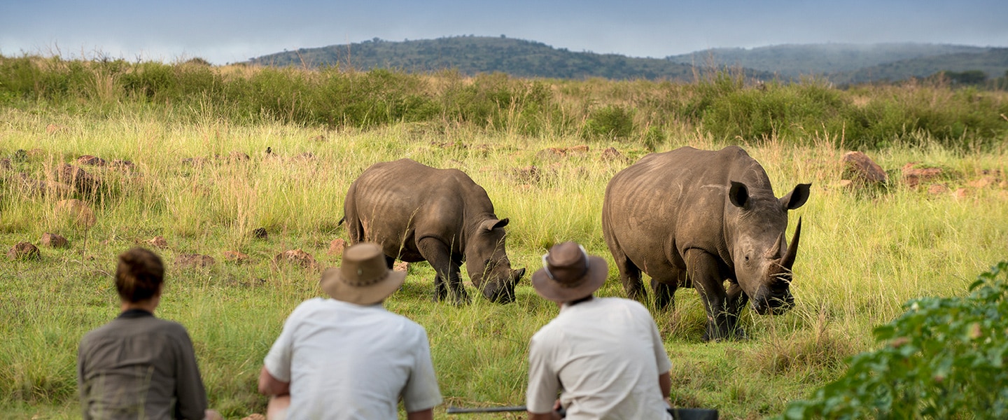 Guided walks at Mhondoro Safari Lodge & Villa in Limpopo’s Welgevonden Game Reserve 
