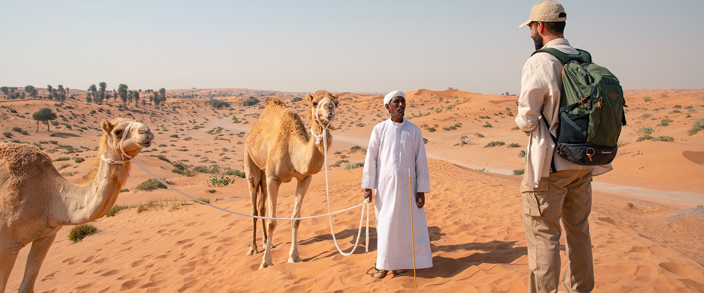 Desert treks on camel in the Al Wadi desert