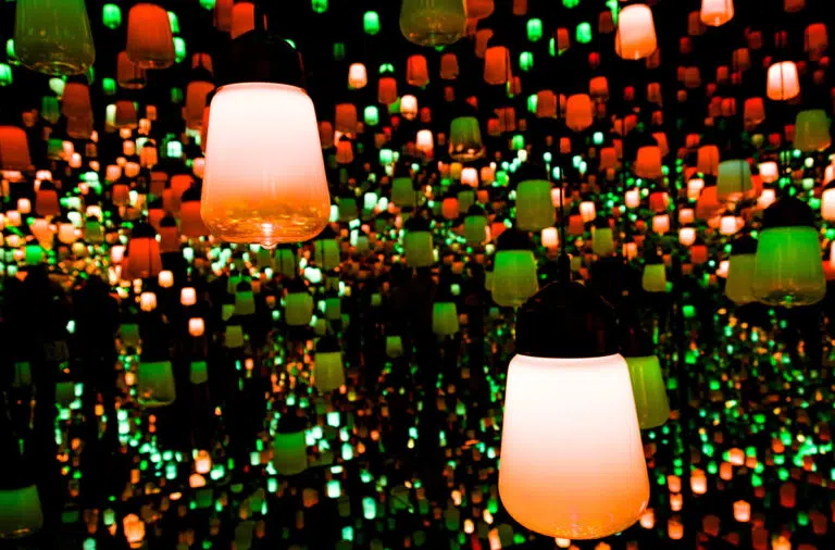 Read more about the article teamLab: the immersive future of art