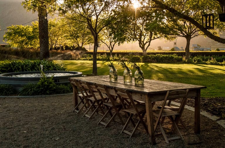 Read more about the article Life and linguine in the Breedekloof